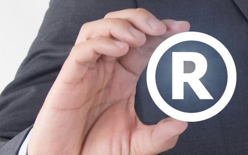 商標申請被駁回的原因及應對策略